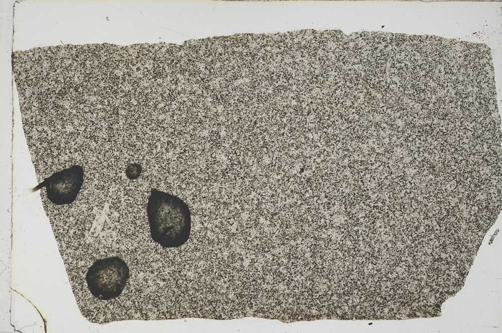 Plane Polarized, S59149