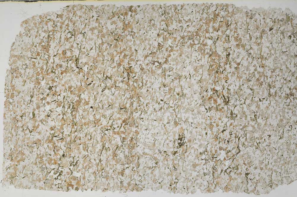 Plane Polarized, S59189