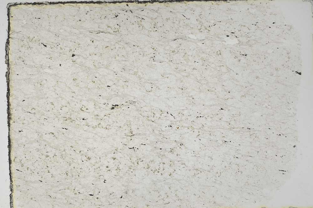 Plane Polarized, S59192