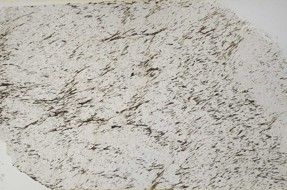 Plane Polarized, S59197