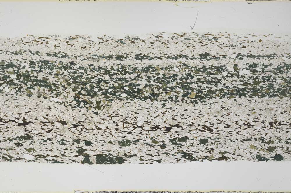 Plane Polarized, S59198