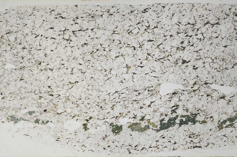 Plane Polarized, S59201