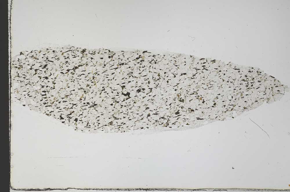 Plane Polarized, S59234