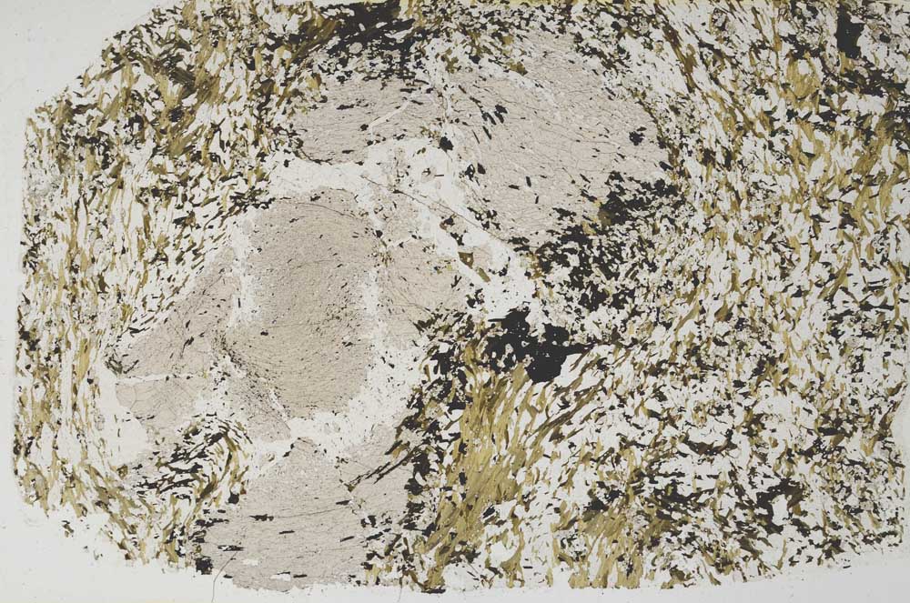 Plane Polarized, S59238