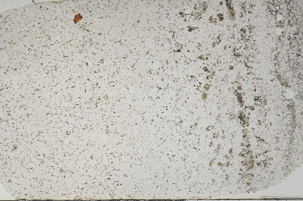 Plane Polarized, S59245