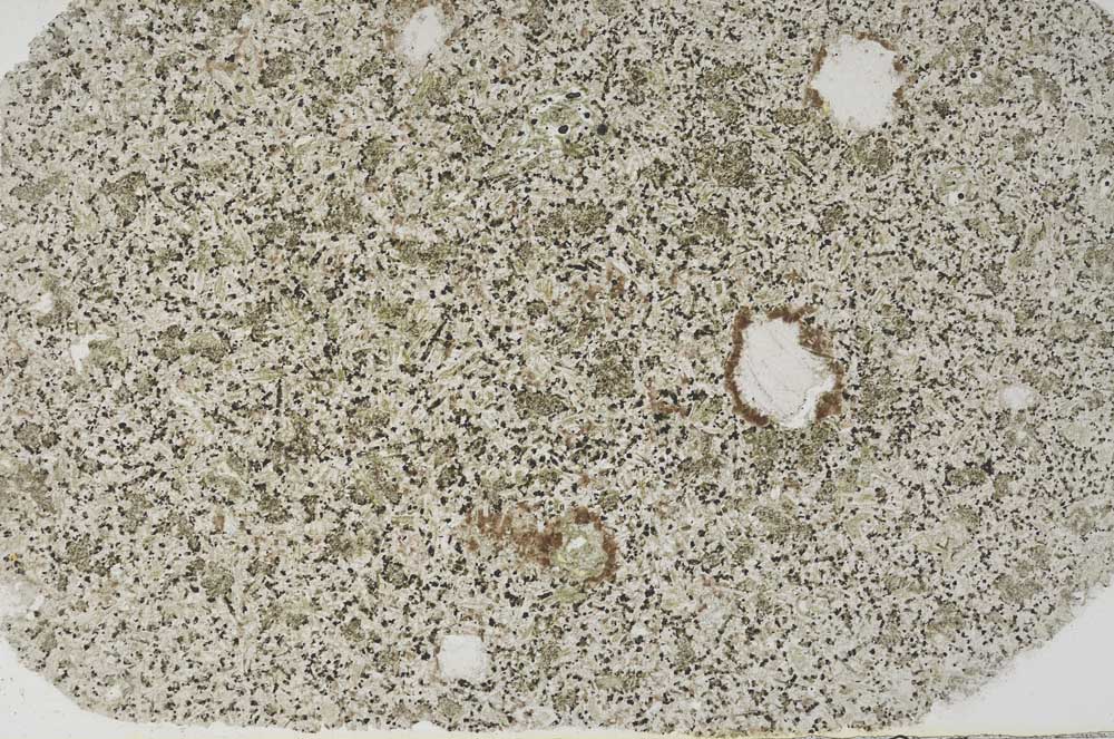 Plane Polarized, S59256