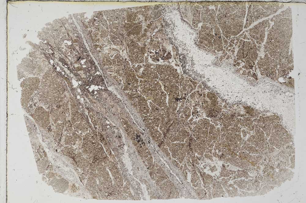 Plane Polarized, S59277