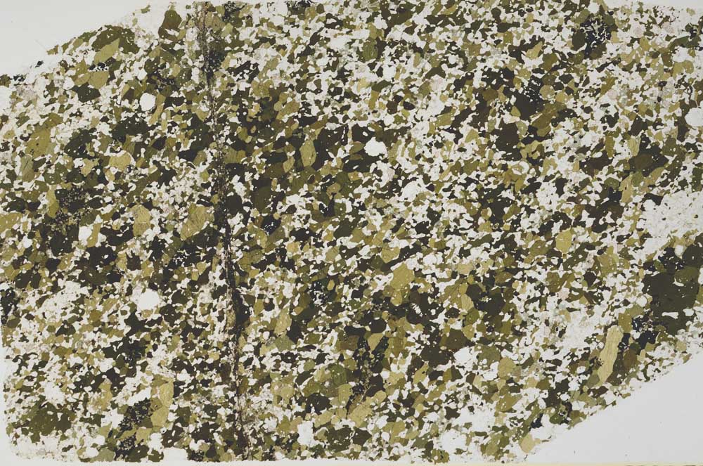 Plane Polarized, S59308