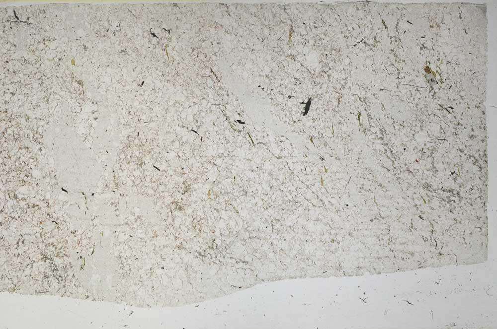 Plane Polarized, S59369