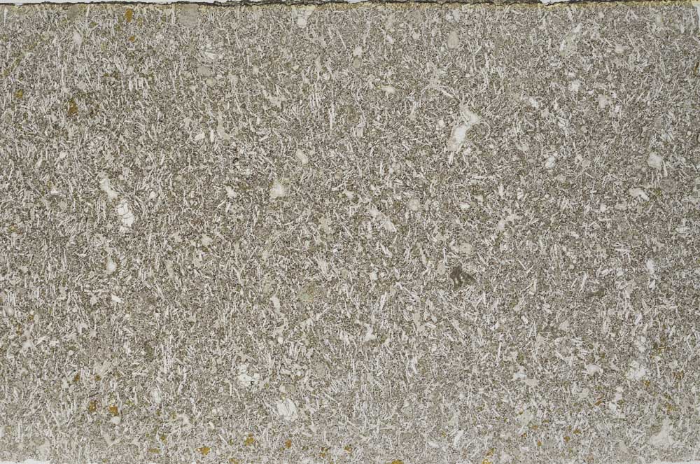 Plane Polarized, S59372