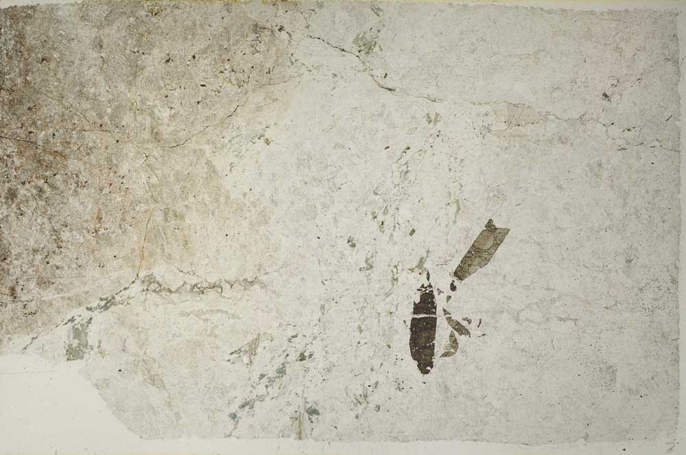 Plane Polarized, S59383