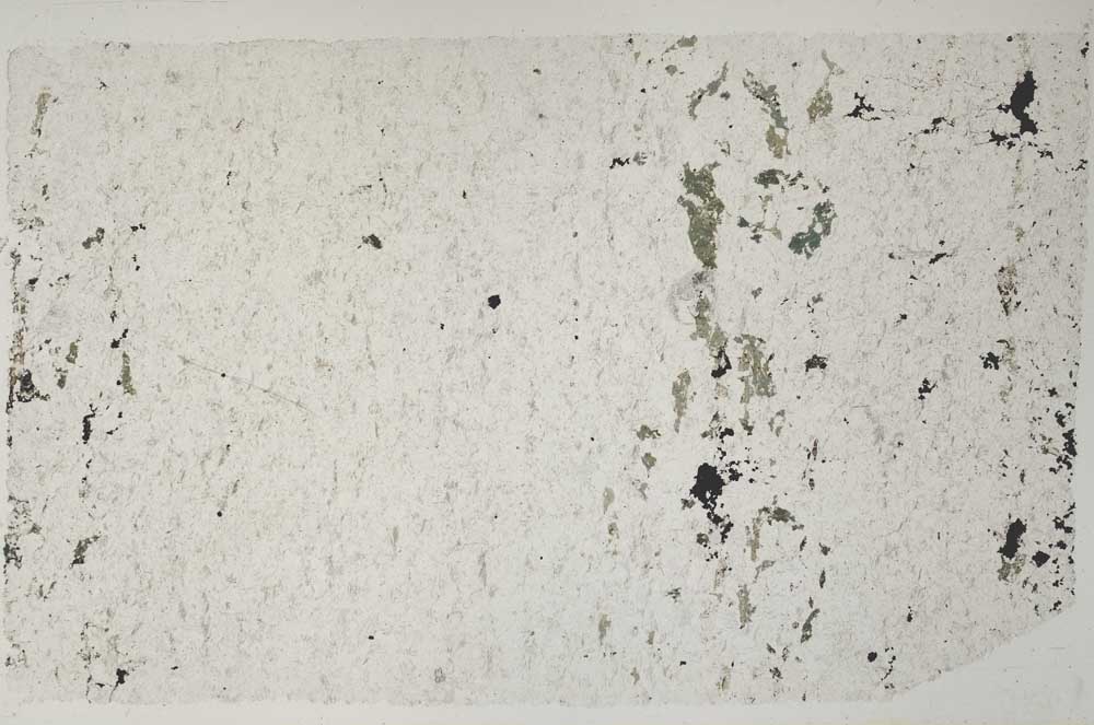 Plane Polarized, S59385