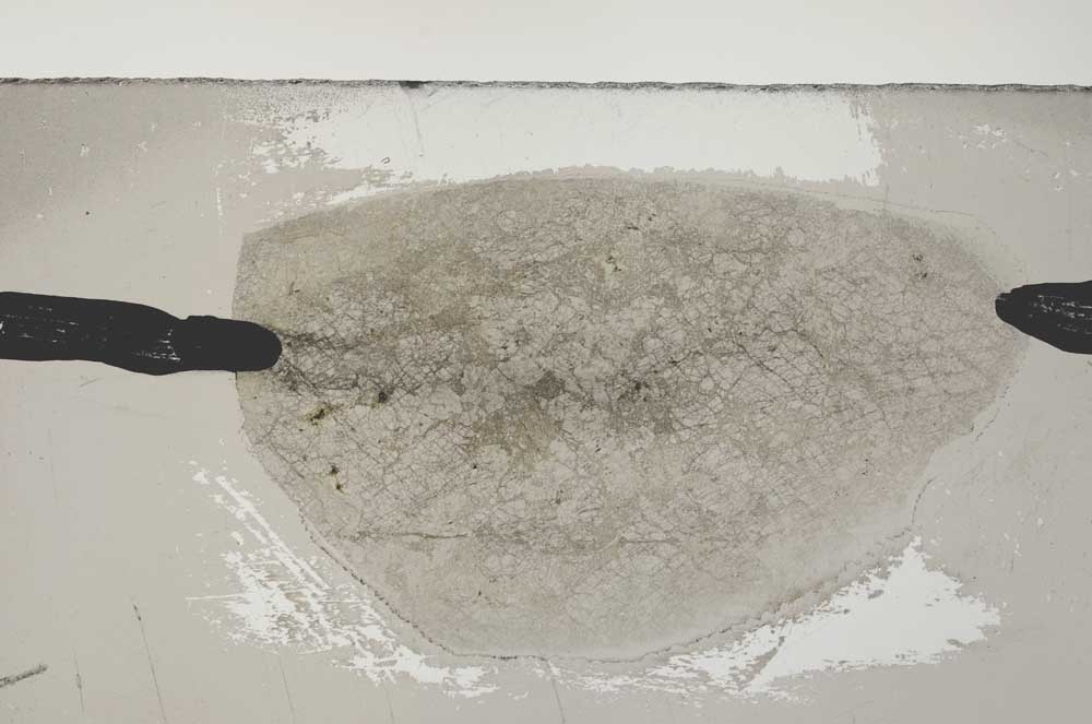 Plane Polarized, S59417