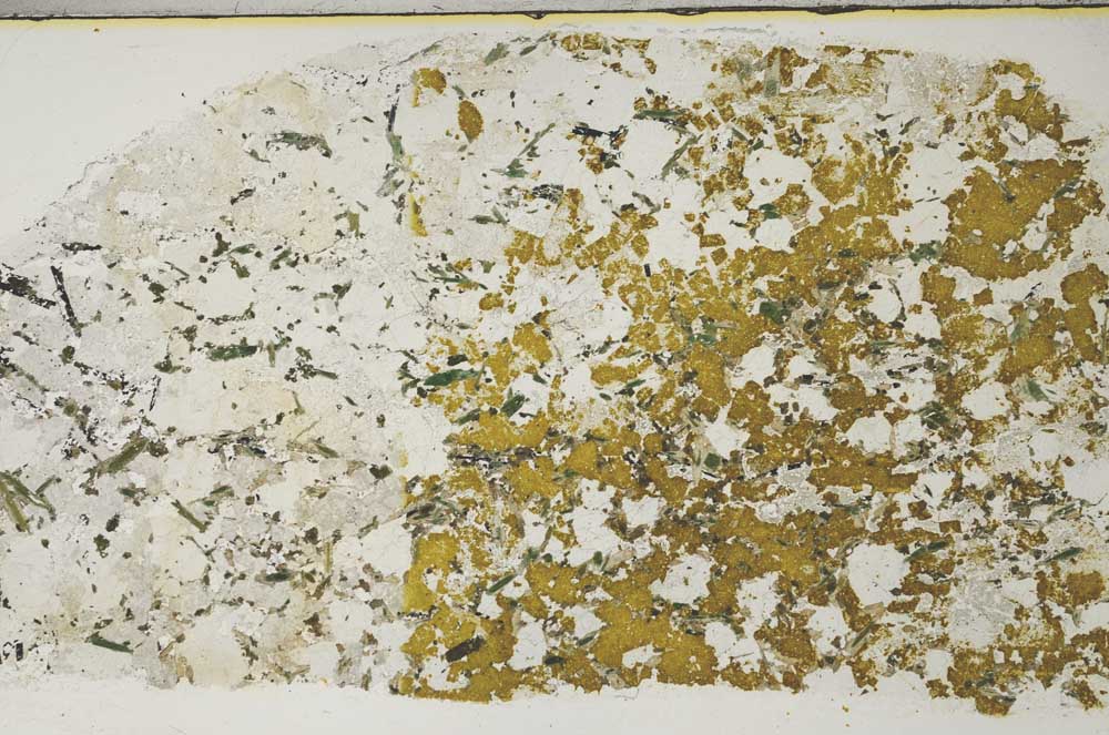 Plane Polarized, S59423