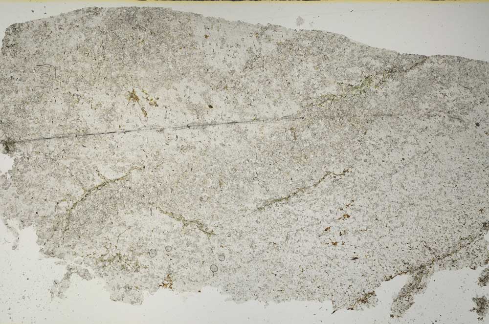 Plane Polarized, S59437