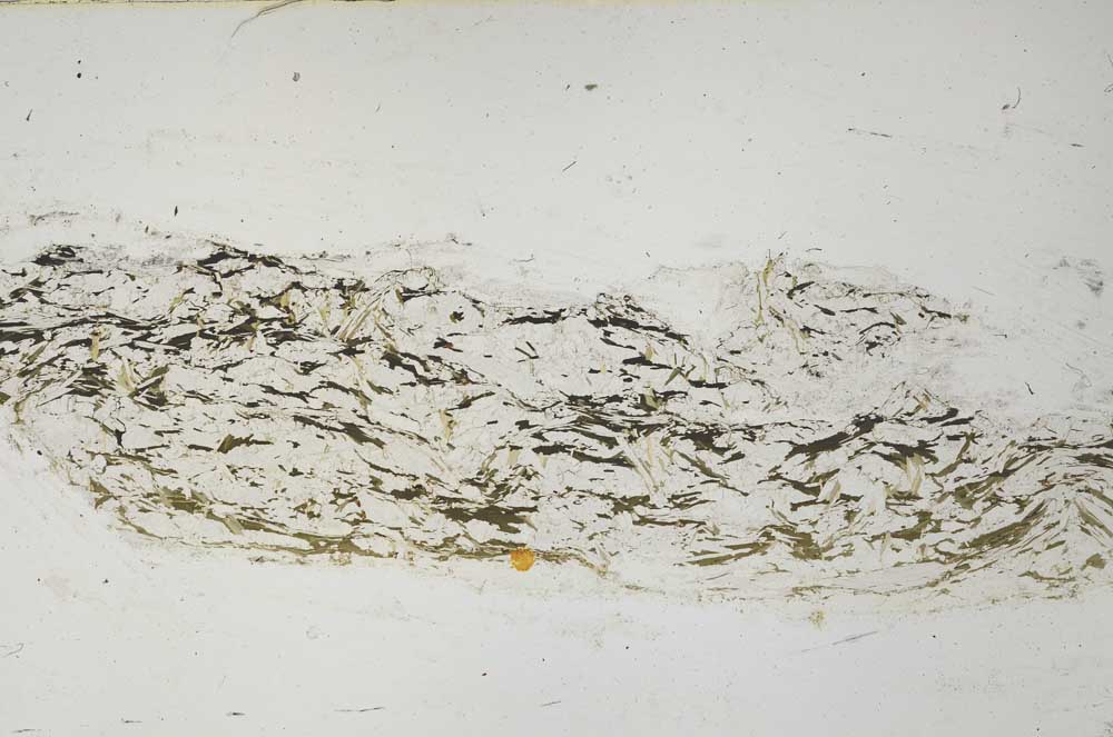 Plane Polarized, S59439
