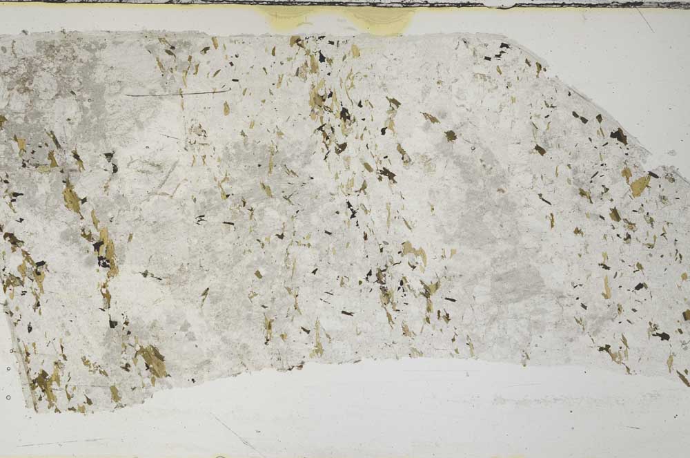 Plane Polarized, S59441