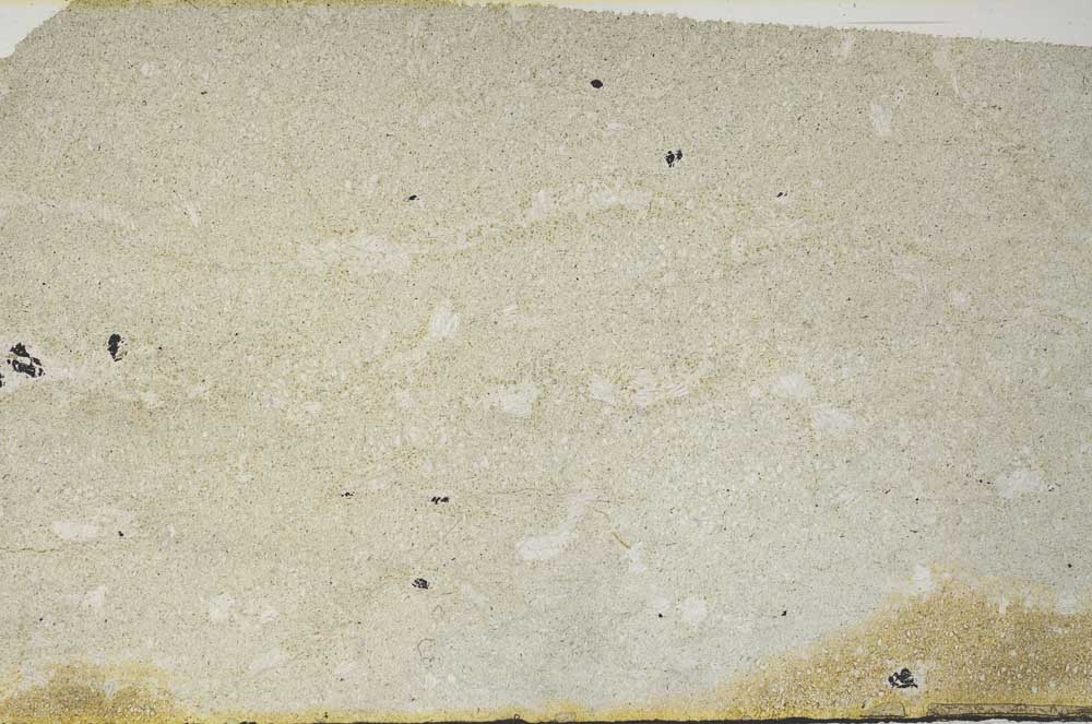 Plane Polarized, S59444