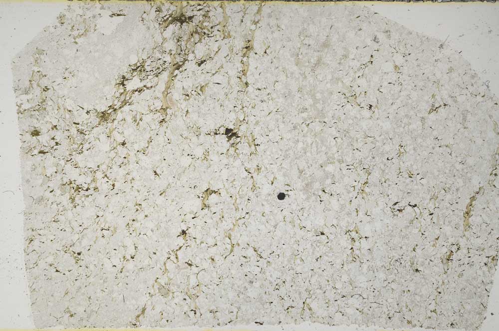 Plane Polarized, S59446