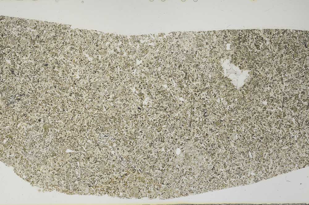 Plane Polarized, S59447