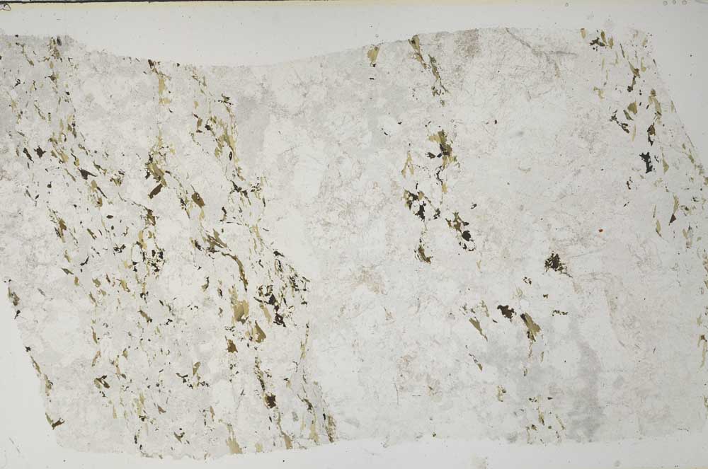 Plane Polarized, S59452