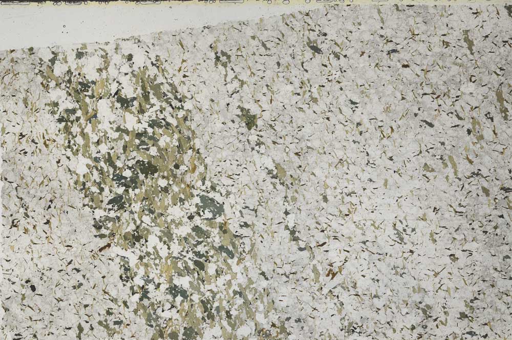 Plane Polarized, S59461