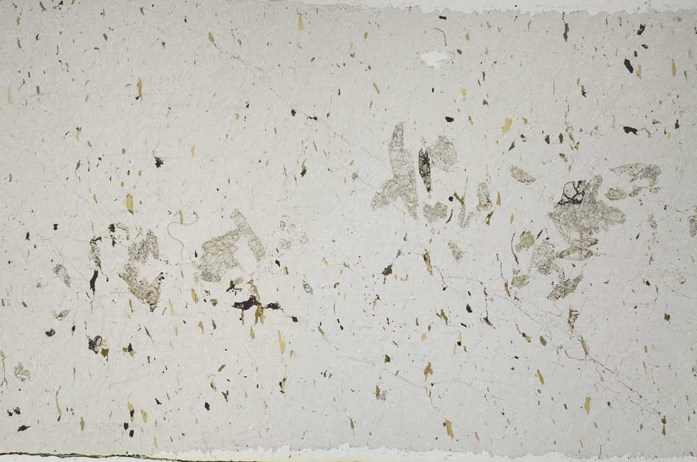 Plane Polarized, S59473