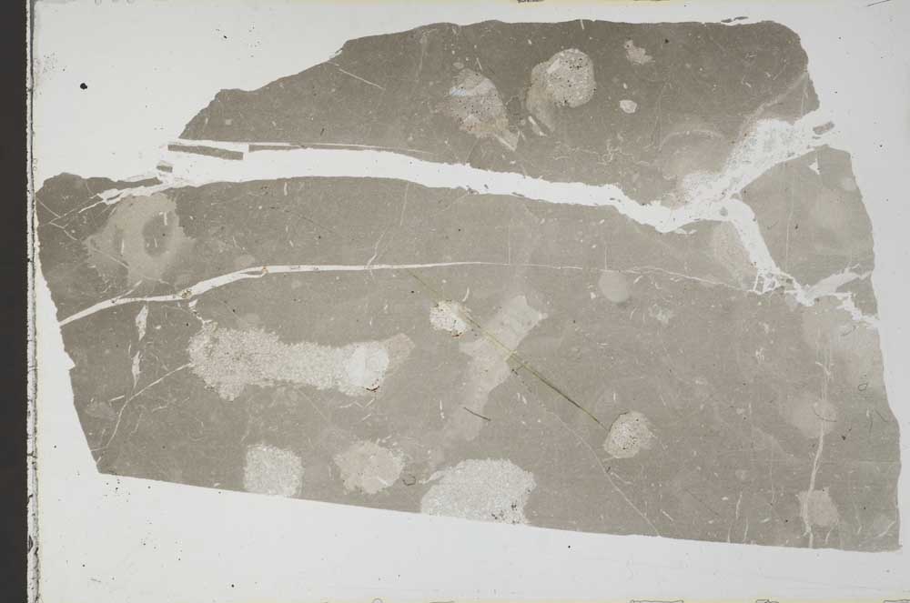 Plane Polarized, S59535