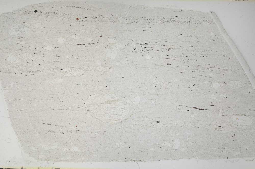 Plane Polarized, S59540