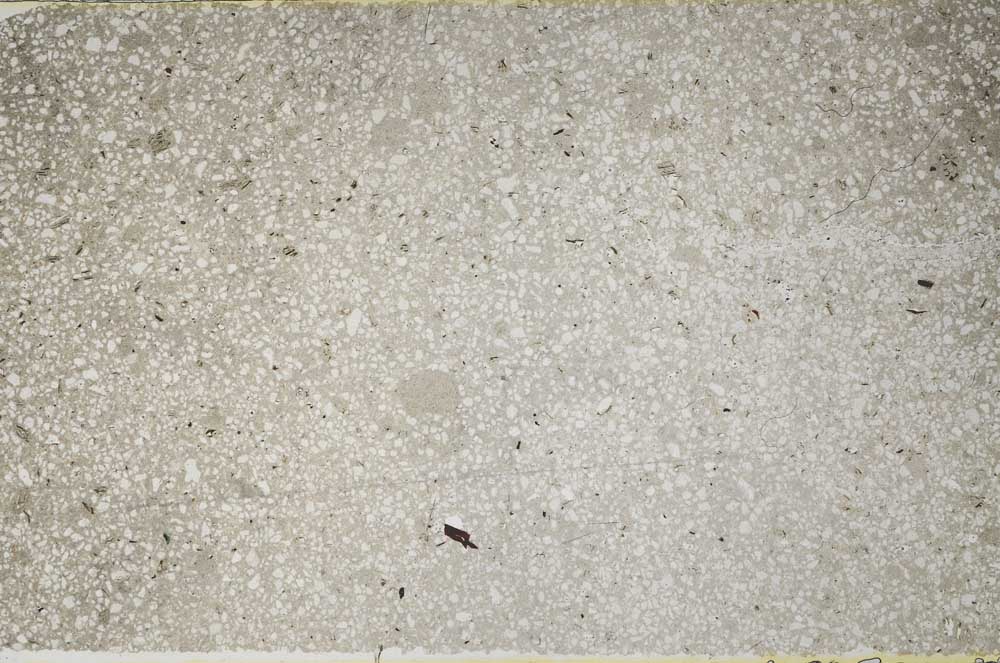 Plane Polarized, S59545