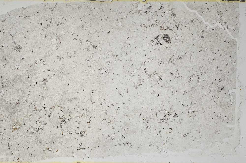Plane Polarized, S59546