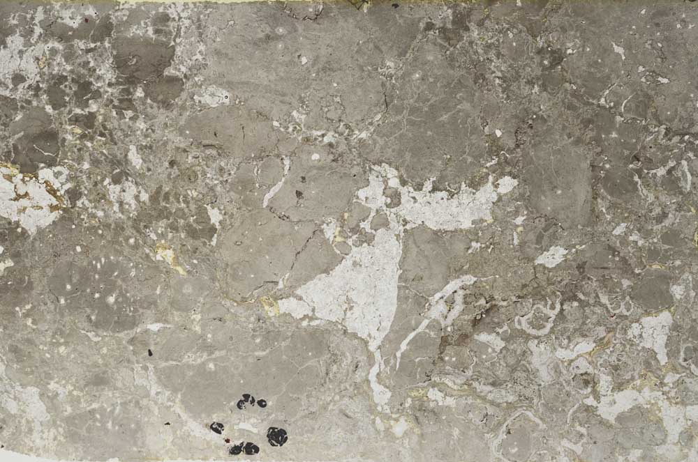 Plane Polarized, S59561