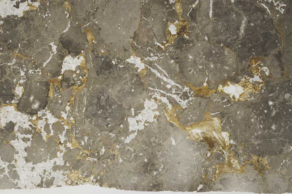 Plane Polarized, S59562