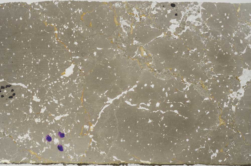 Plane Polarized, S59563