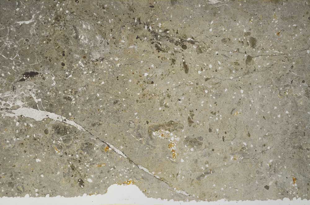 Plane Polarized, S59568