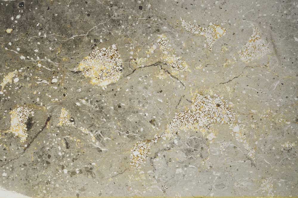 Plane Polarized, S59569