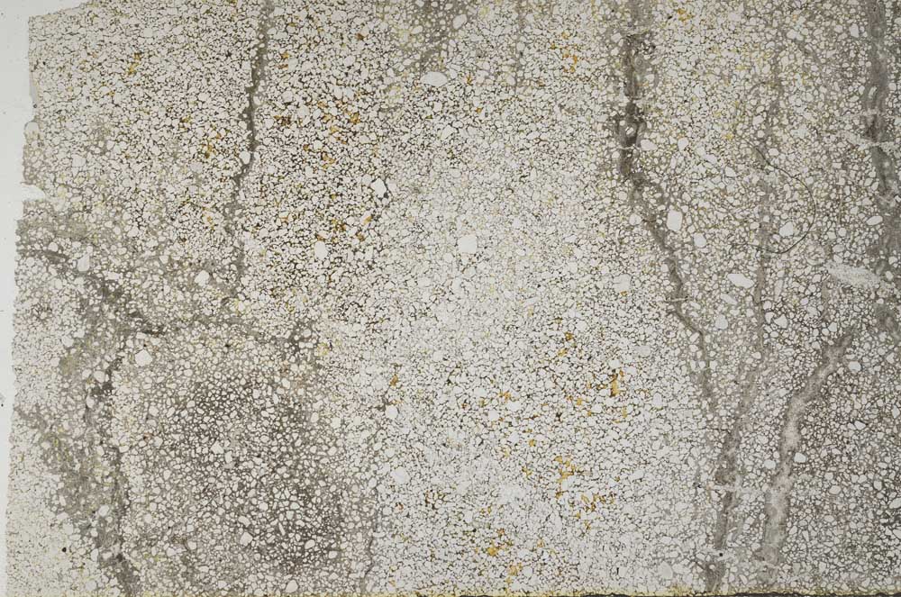Plane Polarized, S59571