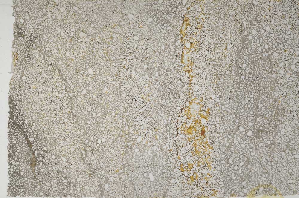 Plane Polarized, S59572