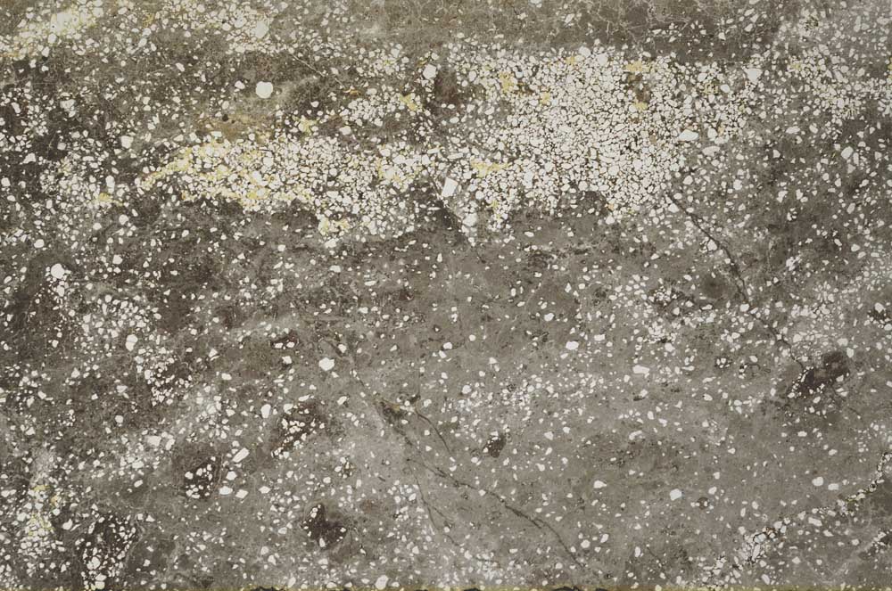 Plane Polarized, S59575