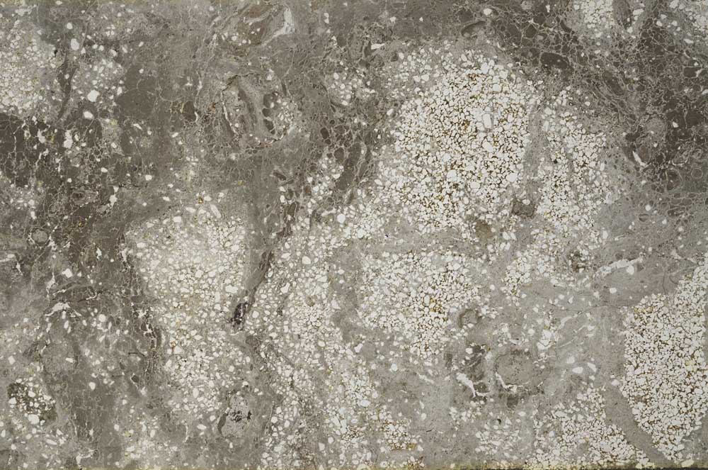 Plane Polarized, S59578