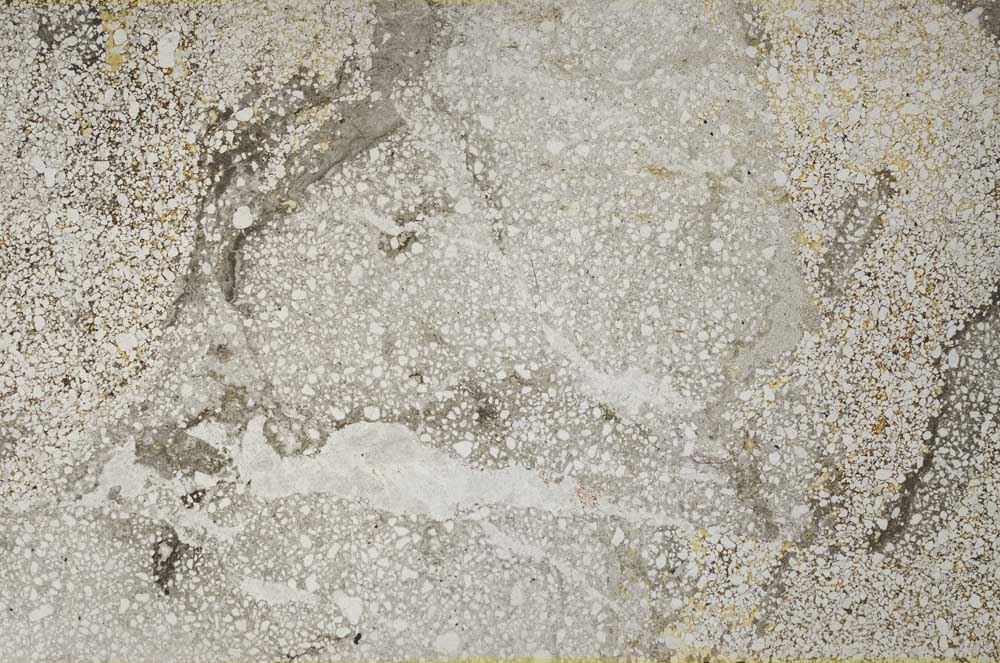 Plane Polarized, S59579