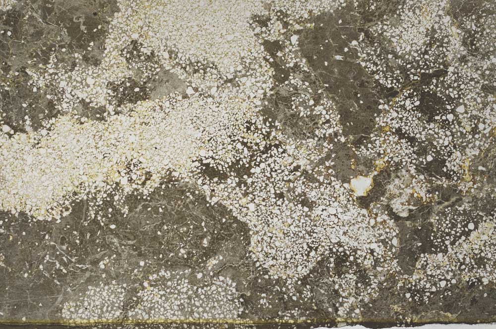 Plane Polarized, S59581
