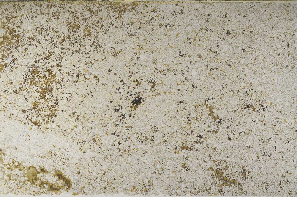 Plane Polarized, S59582/A