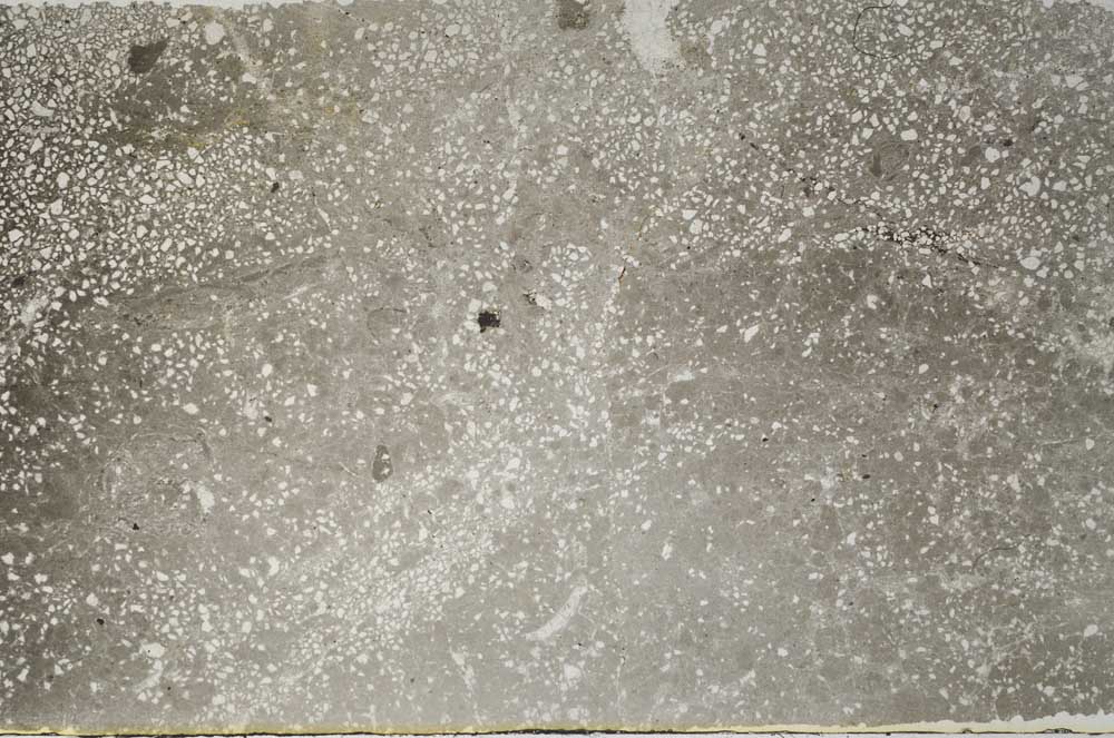 Plane Polarized, S59587