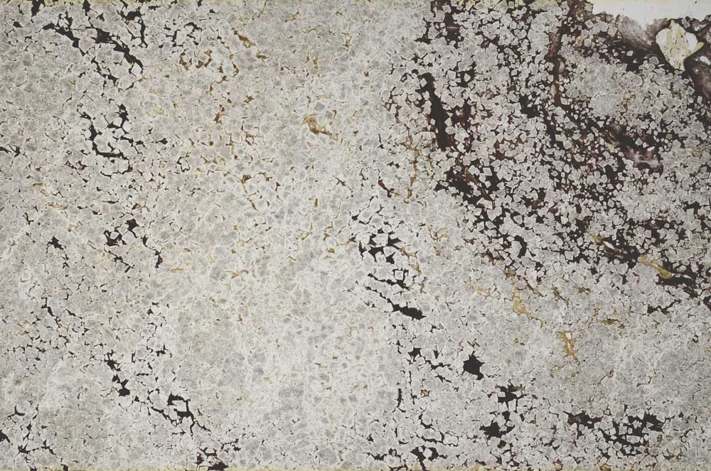 Plane Polarized, S59589