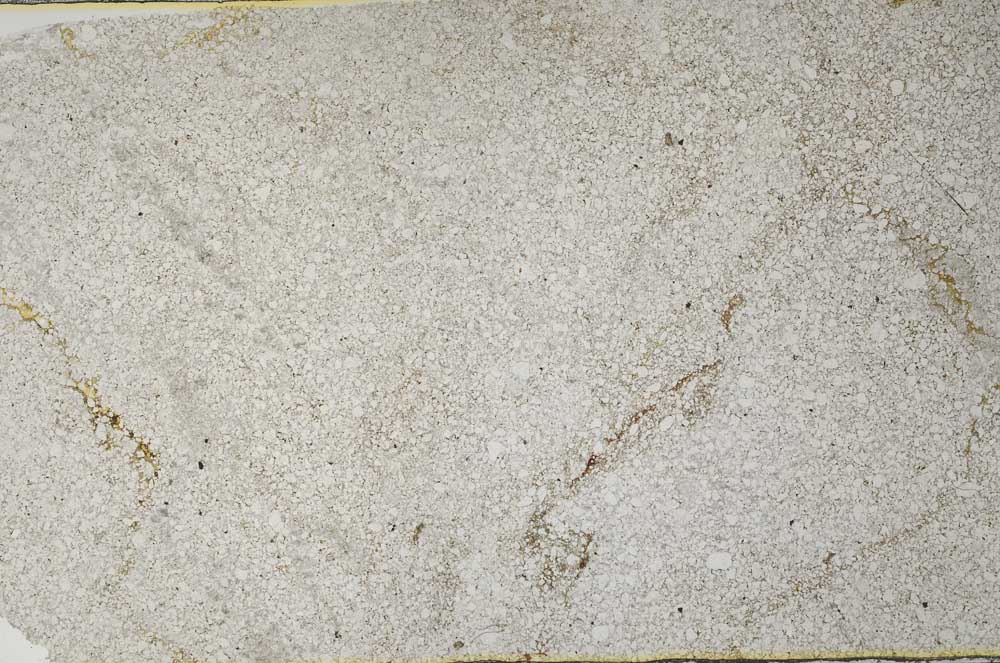Plane Polarized, S59590