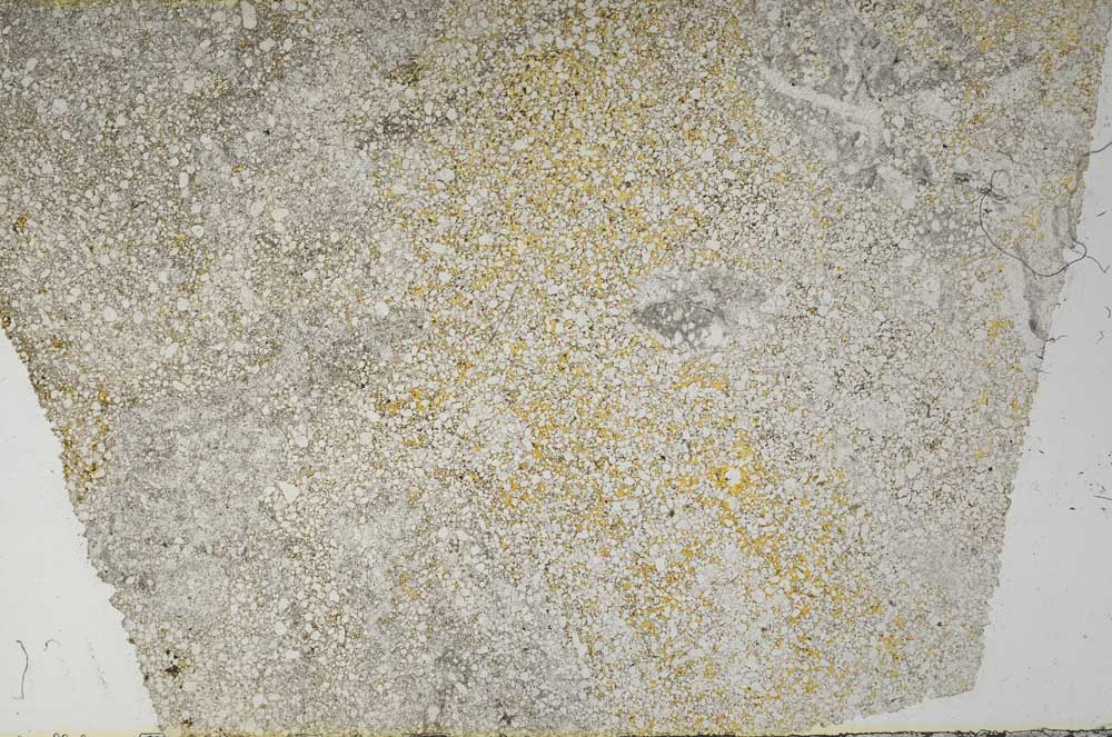 Plane Polarized, S59591