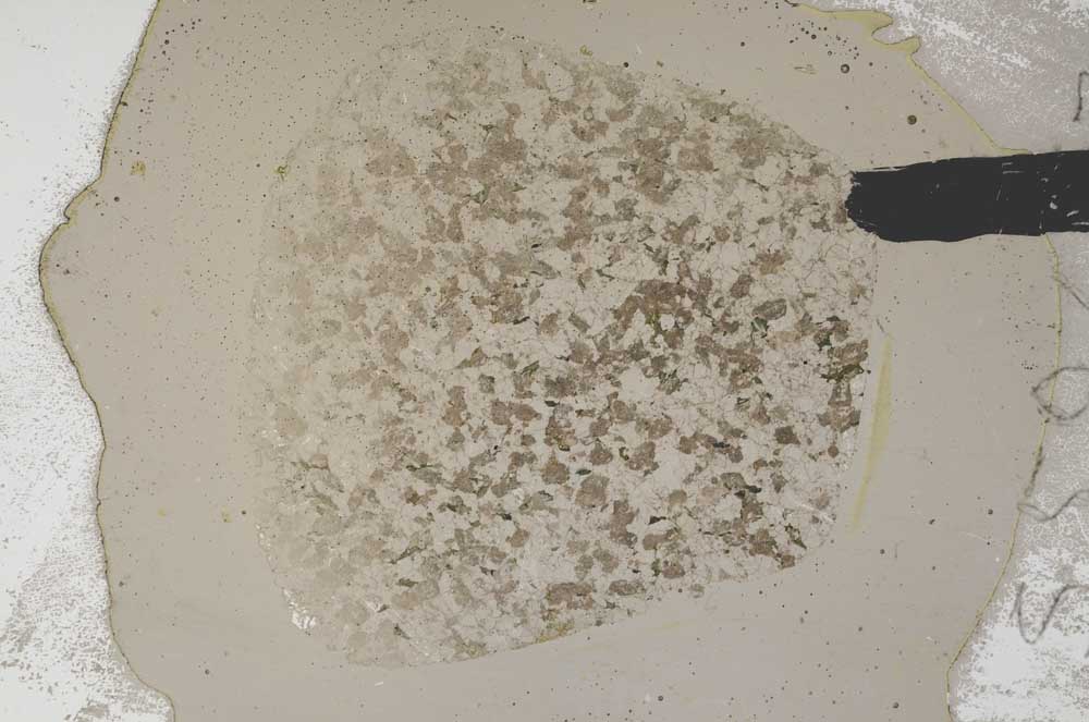 Plane Polarized, S59607