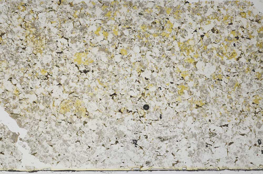 Plane Polarized, S59608