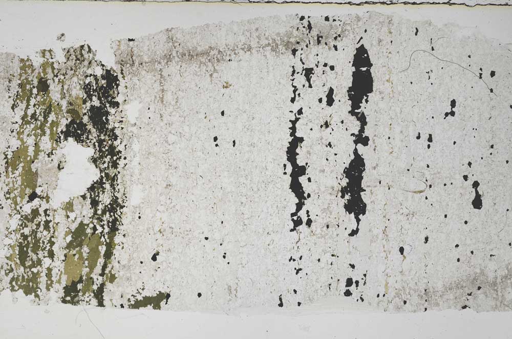 Plane Polarized, S59611